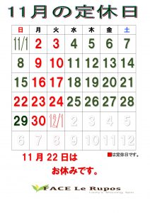 2026年11月ルポカレンダー